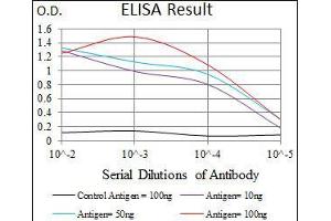 Black line: Control Antigen (100 ng), Purple line: Antigen(10 ng), Blue line: Antigen (50 ng), Red line: Antigen (100 ng), (Osteopontin anticorps  (AA 167-314))