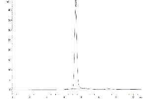 The purity of Human Siglec-10(R119A) is greater than 95 % as determined by SEC-HPLC.