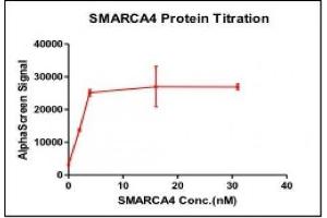 Recombinant SMARCA4 / BRG1 (1448-1569), GST-tag activity using AlphaLISA.