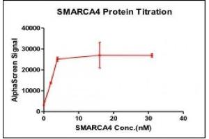 Recombinant SMARCA4 / BRG1 (1448-1569), GST-tag activity using AlphaLISA. (SMARCA4 Protein (AA 1448-1569) (GST tag))