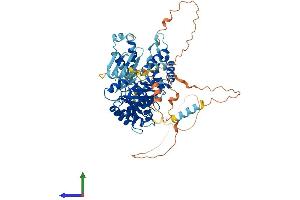 AlphaFold protein structure predicition of Mouse Recombinant Srpra Protein, UniprotID Q9DBG7 (SRPRA (AA 1-636) protein (His tag))