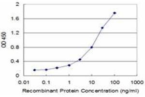 Detection limit for recombinant GST tagged FOXL1 is approximately 0.