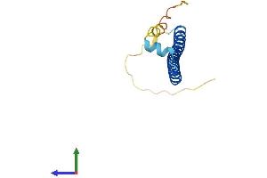 AlphaFold protein structure predicition of Human Recombinant CREBL2 Protein, UniprotID O60519