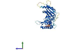 AlphaFold protein structure predicition of Human Recombinant CENPL Protein, UniprotID Q8N0S6