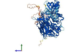AlphaFold protein structure predicition of Mouse Recombinant Plcd4 Protein, UniprotID Q8K3R3