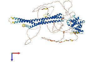 rho GTPase Activating Protein 44 (ARHGAP44) (AA 1-818) protein (His tag)