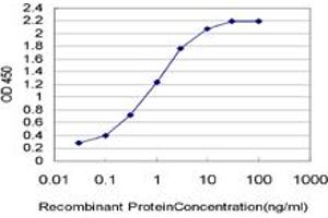 Detection limit for recombinant GST tagged TLX3 is approximately 0.