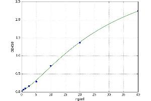 Tumor Necrosis Factor-Inducible Protein 6 (TNFAIP6) ELISA Kit