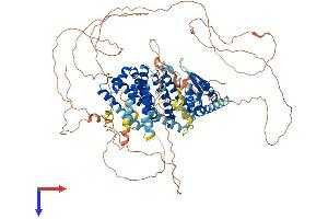 AlphaFold protein structure predicition of Mouse Recombinant Rfx6 Protein, UniprotID Q8C7R7