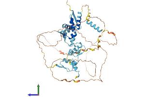 AlphaFold protein structure predicition of Human Recombinant ZBTB45 Protein, UniprotID Q96K62