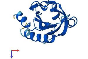 AlphaFold protein structure predicition of Human Recombinant PFN3 Protein, UniprotID P60673