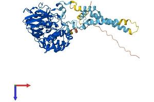 AlphaFold protein structure predicition of Human Recombinant PPP3CC Protein, UniprotID P48454