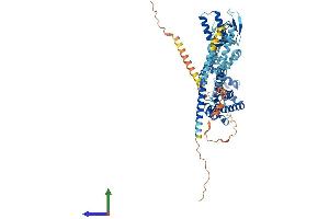 AlphaFold protein structure predicition of Mouse Recombinant Cnga3 Protein, UniprotID Q9JJZ8