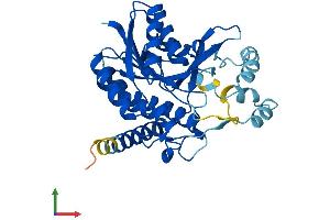 AlphaFold protein structure predicition of Mouse Recombinant Hsd17b7 Protein, UniprotID O88736