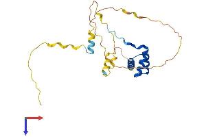 AlphaFold protein structure predicition of Human Recombinant NKX3-1 Protein, UniprotID Q99801
