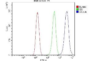 anti-Family with Sequence Similarity 105, Member B (FAM105B) (AA 49-352) antibody