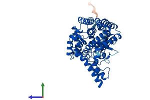 AlphaFold protein structure predicition of Human Recombinant FADS1 Protein, UniprotID O60427