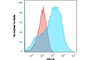 Flow Cytometric Analysis of HEK293 cells using Neurofilament Mouse Monoclonal Antibody (NE14) followed by goat anti-Mouse IgG-CF488 (Blue); Isotype control (Red).