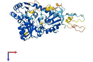 AlphaFold protein structure predicition of Mouse Recombinant Dph2 Protein, UniprotID Q9CR25