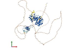 AlphaFold protein structure predicition of Mouse Recombinant Mbd4 Protein, UniprotID Q9Z2D7