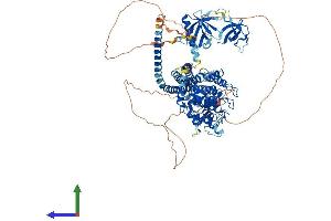 AlphaFold protein structure predicition of Mouse Recombinant Asap2 Protein, UniprotID Q7SIG6