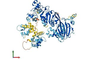 AlphaFold protein structure predicition of Mouse Recombinant Dgka Protein, UniprotID O88673