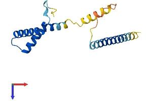 AlphaFold protein structure predicition of Mouse Recombinant Spa17 Protein, UniprotID Q62252