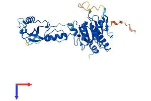 AlphaFold protein structure predicition of Mouse Recombinant Adat3 Protein, UniprotID Q6PAT0