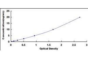 Typical standard curve (PLAA Kit ELISA)