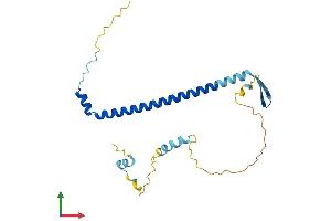 AlphaFold protein structure predicition of Human Recombinant NOL12 Protein, UniprotID Q9UGY1