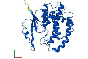 AlphaFold protein structure predicition of Mouse Recombinant Gstm5 Protein, UniprotID P48774