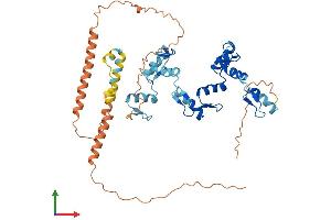 AlphaFold protein structure predicition of Human Recombinant ZNF3 Protein, UniprotID P17036