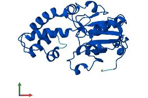 AlphaFold protein structure predicition of Human Recombinant PUDP Protein, UniprotID Q08623