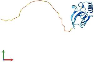 AlphaFold protein structure predicition of Mouse Recombinant Pin4 Protein, UniprotID Q9CWW6