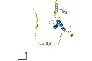 AlphaFold protein structure predicition of Mouse Recombinant Hand2 Protein, UniprotID Q61039