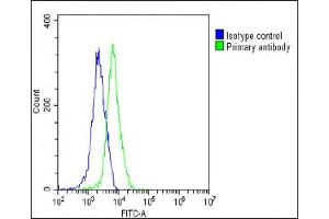 Overlay histogram showing Hela cells stained with (ABIN6242529 and ABIN6578789)(green line).