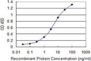 Detection limit for recombinant GST tagged ULK2 is 0. (ULK2 anticorps  (AA 743-843))