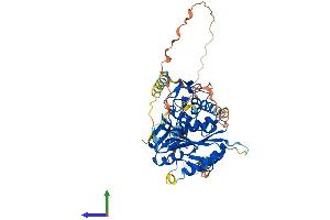 AlphaFold protein structure predicition of Human Recombinant ATG4D Protein, UniprotID Q86TL0