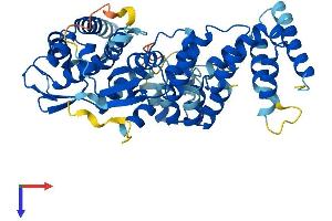 AlphaFold protein structure predicition of Mouse Recombinant Abtb1 Protein, UniprotID Q99LJ2
