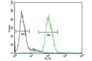 Ceruloplasmin antibody flow cytometric analysis of HepG2 cells (green) compared to a negative control (blue).