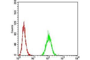 Flow cytometric analysis of MCF-7 cells using MET mouse mAb (green) and negative control (red).