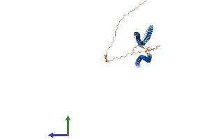 AlphaFold protein structure predicition of Mouse Recombinant Bfsp2 Protein, UniprotID Q6NVD9