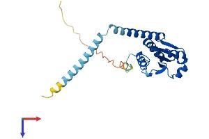 AlphaFold protein structure predicition of Mouse Recombinant Txndc9 Protein, UniprotID Q9CQ79