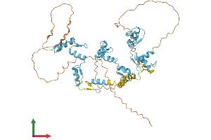 AlphaFold protein structure predicition of Human Recombinant ZNF775 Protein, UniprotID Q96BV0