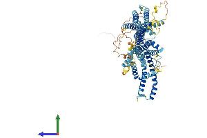 AlphaFold protein structure predicition of Human Recombinant STRA6 Protein, UniprotID Q9BX79