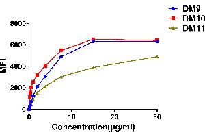 Affinity ranking of different Rabbit anti-CS1 mAb clones by titration of different concentration onto Raji cells.