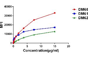 Affinity ranking of different Rabbit anti- GD mAb clones by titration of different concentration onto H929 cells.
