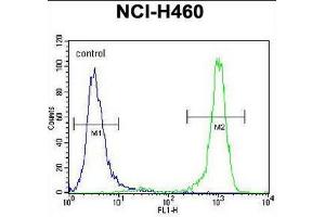 CHRND Antibody (Center) flow cytometric analysis of NCI-H460 cells (right histogram) compared to a negative control cell (left histogram). (CHRND anticorps  (Middle Region, Subunit delta))