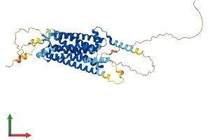 AlphaFold protein structure predicition of Mouse Recombinant Gpr39 Protein, UniprotID Q5U431