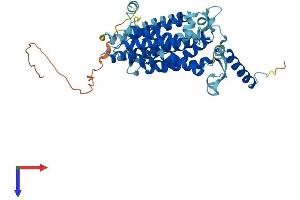 AlphaFold protein structure predicition of Human Recombinant CDS2 Protein, UniprotID O95674